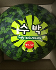 watermelon